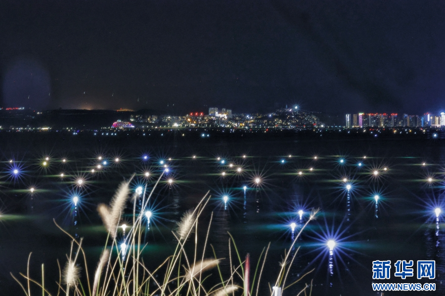 【微纪录·云南故事】听！洱海渔灯“三重奏”_新华网